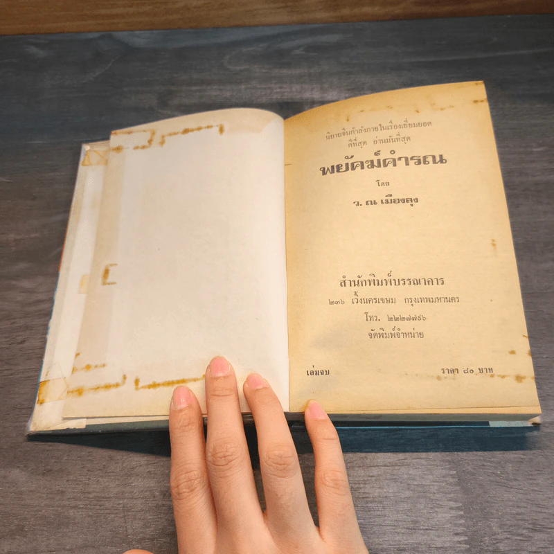 พยัคฆ์คำรน 2 เล่มจบ - ว.ณเมืองลุง รูปที่ 11