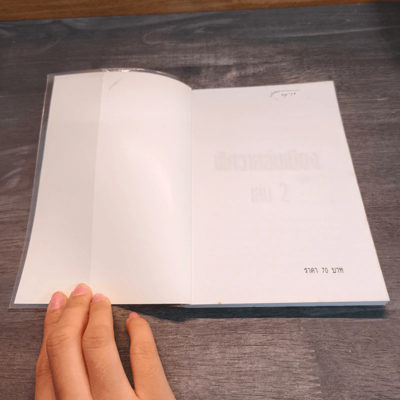 พิศวาสล่มเมือง 2 เล่มจบ - น.นพรัตน์ (พิมพ์ครั้งแรก) รูปที่ 9