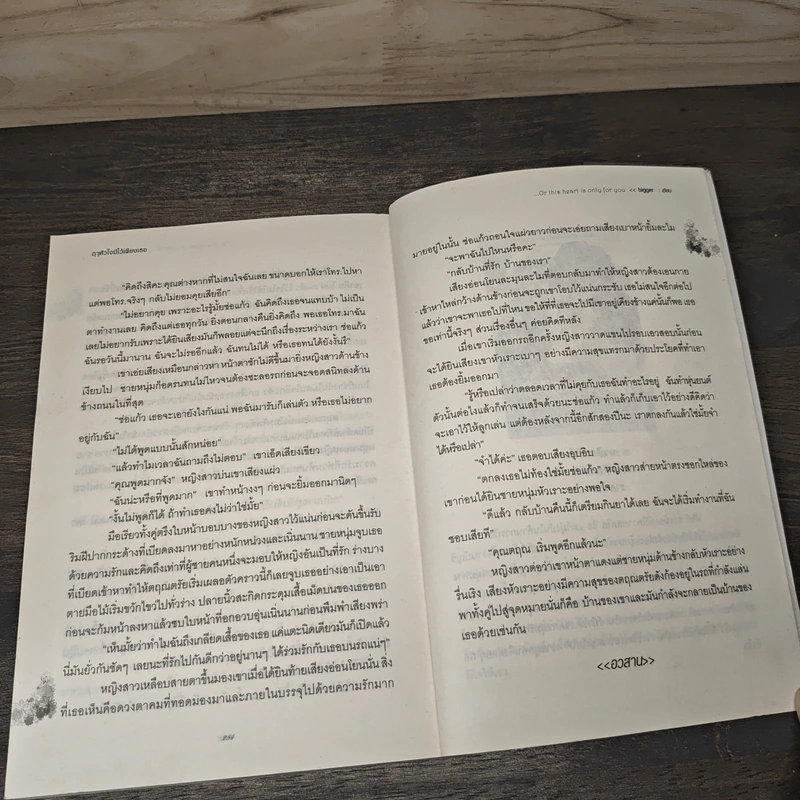 ฤาหัวใจมีไว้เพียงเธอ - bigger รูปที่ 8