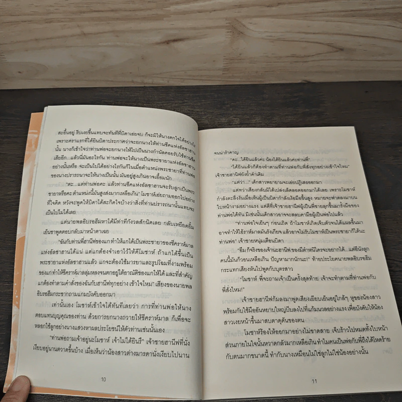ชายานอกหัวใจ - มิ่งมาดา รูปที่ 8