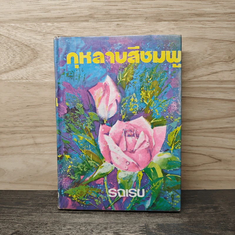 กุหลาบสีชมพู - รจเรข รูปที่ 1