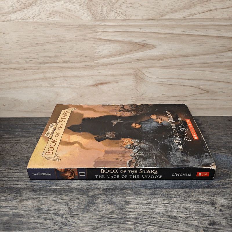 The Face of the Shadow - Erik L'Homme รูปที่ 2