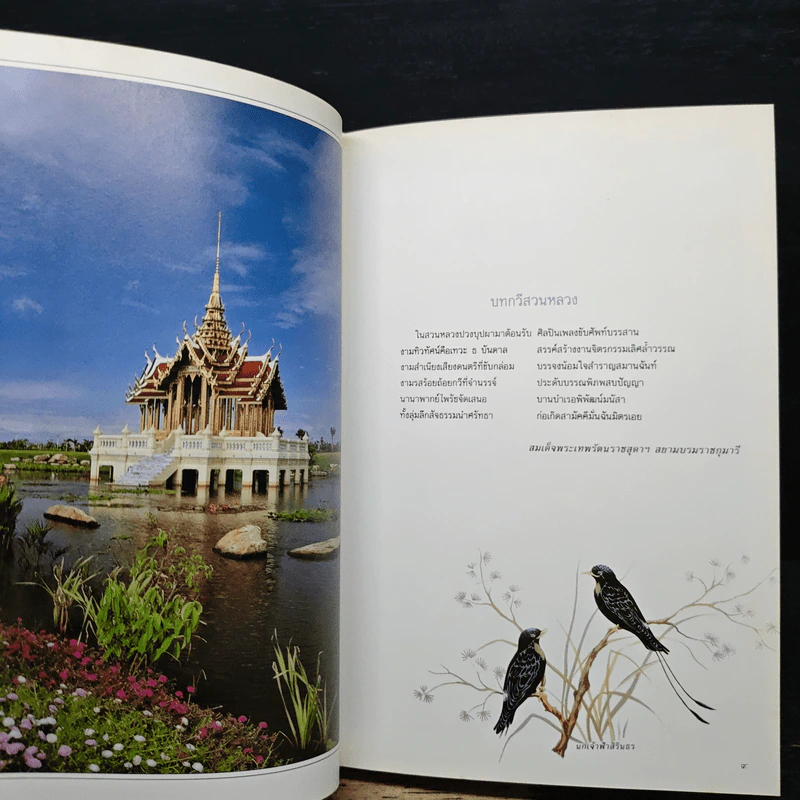 สวนหลวงทิพย์กวี รูปที่ 9