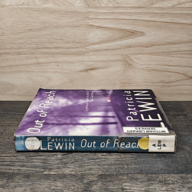 Out of Reach - Patricia Lewin รูปที่ 2