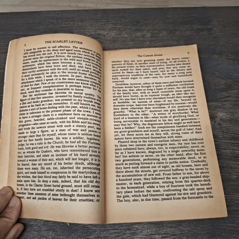 The Scarlet Letter - Nathaniel Hawthorne รูปที่ 7