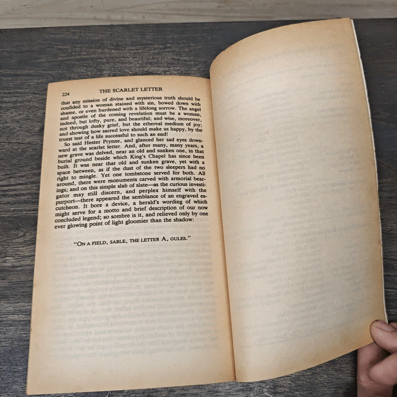 The Scarlet Letter - Nathaniel Hawthorne รูปที่ 8