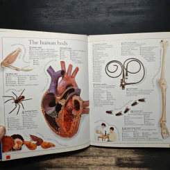 Top 10 Quiz Book - Russell Ash รูปที่ 7