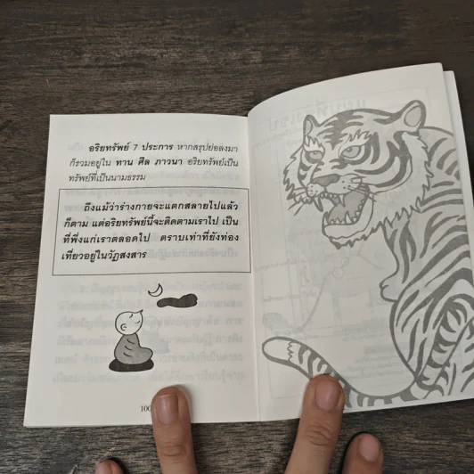 ใจดีสู้เสือ - พระอาจารย์มิตซูโอะ คเวสโก รูปที่ 8
