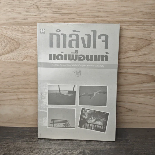 กำลังใจแด่เพื่อนแท้ - ปฐวี รูปที่ 1