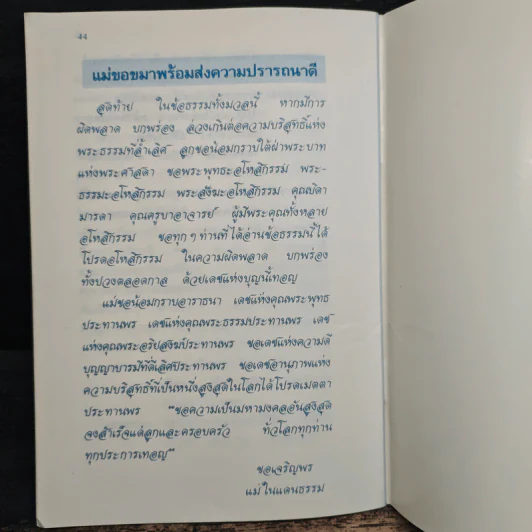 แม่มอบรักแท้ให้แด่ลูก รูปที่ 7