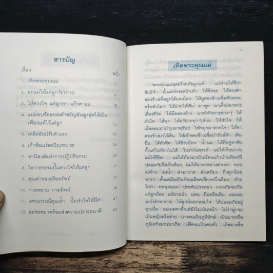 แม่มอบรักแท้ให้แด่ลูก รูปที่ 6