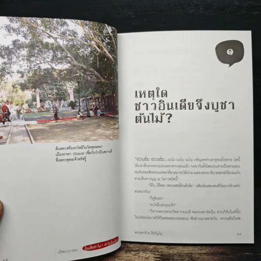 ปริศนาภารตะ อินเดียทำไม? ทำไมอินเดีย? - พระมหาอ้าย ธีรปัญโญ รูปที่ 9