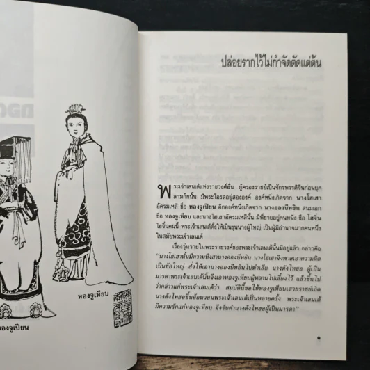 ถอดเกราะสามก๊ก - ดร.อัมพร สุขเกษม รูปที่ 9