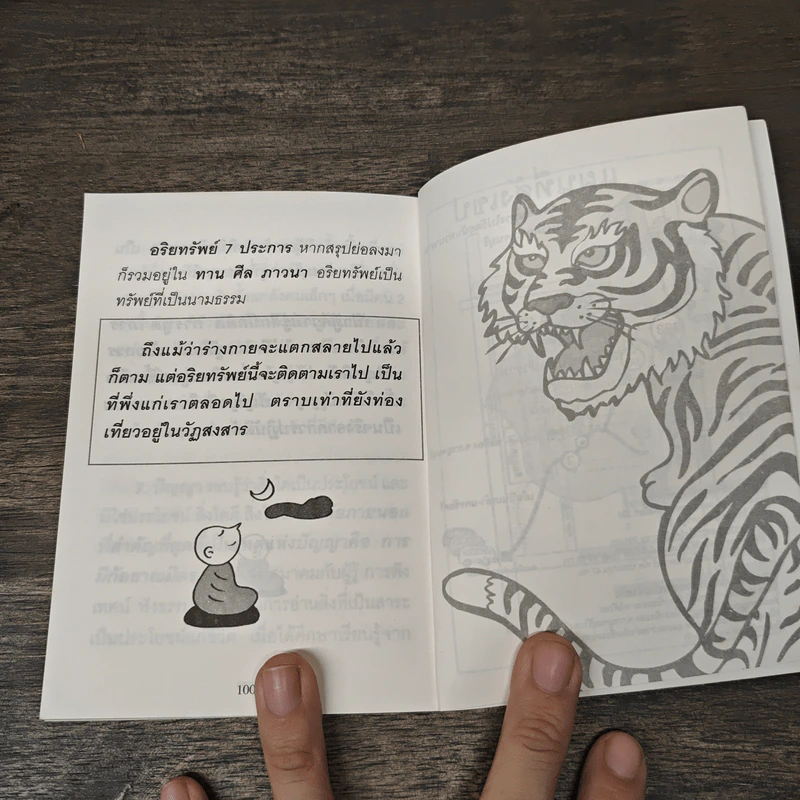 ใจดีสู้เสือ - พระอาจารย์มิตซูโอะ คเวสโก รูปที่ 8