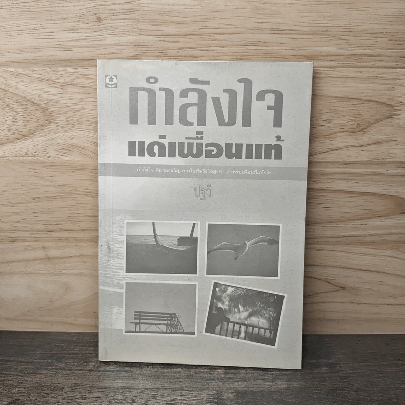 กำลังใจแด่เพื่อนแท้ - ปฐวี รูปที่ 1