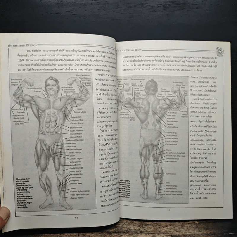 ตำราเพาะกาย In Iron - David J. Brow, อาจารย์นพคุณ วันแต่ง รูปที่ 9