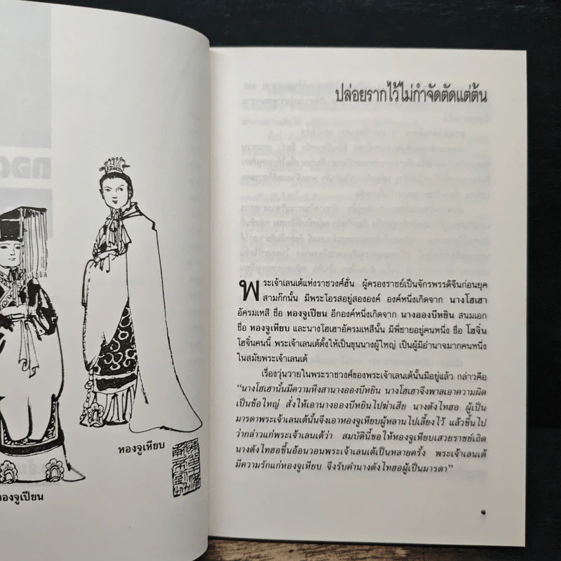 ถอดเกราะสามก๊ก - ดร.อัมพร สุขเกษม รูปที่ 9