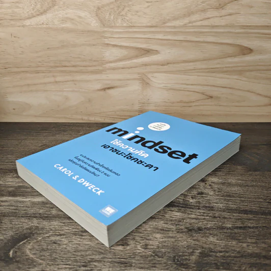 Mindset ใช้ความคิดเอาชนะโชคชะตา - Carol S.Dweck รูปที่ 3