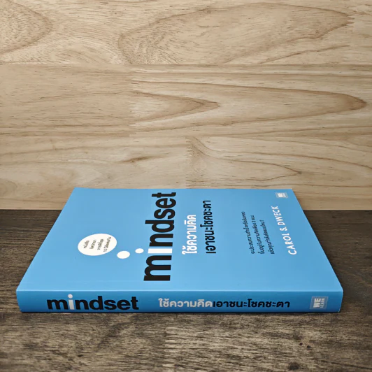Mindset ใช้ความคิดเอาชนะโชคชะตา - Carol S.Dweck รูปที่ 2