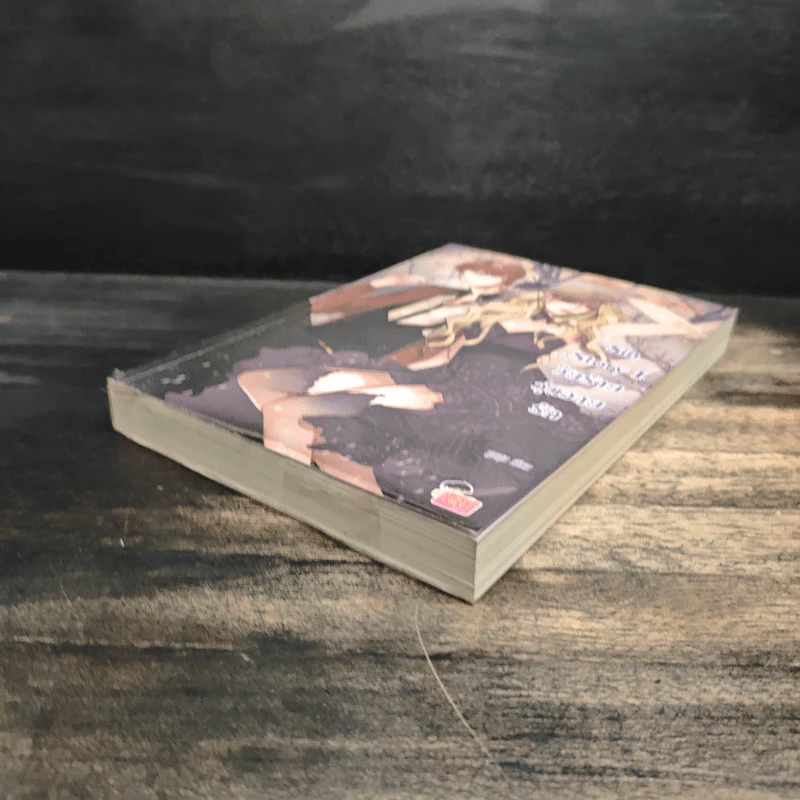 Sin Story I วัยร้ายวุ่นวายรัก - ลูกชุบ รูปที่ 4