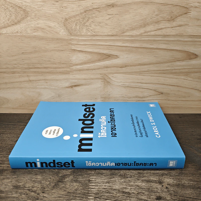 Mindset ใช้ความคิดเอาชนะโชคชะตา - Carol S.Dweck รูปที่ 2