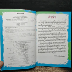 การ์ตูนประวัติศาสตร์ชาติไทย ยุคสุโขทัย เล่มที่ 3 พ่อขุนรามคำแหง 1 รูปที่ 6