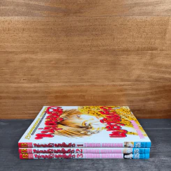 หนุ่มหล่อเฟี้ยวแปลงโฉมสาว เล่ม 1-3 รูปที่ 2