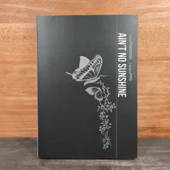 Boxset Ain't No Sunshine ตราบสิ้นแสงตะวัน 2 เล่มจบ - Fengnong, Pipa รูปที่ 1