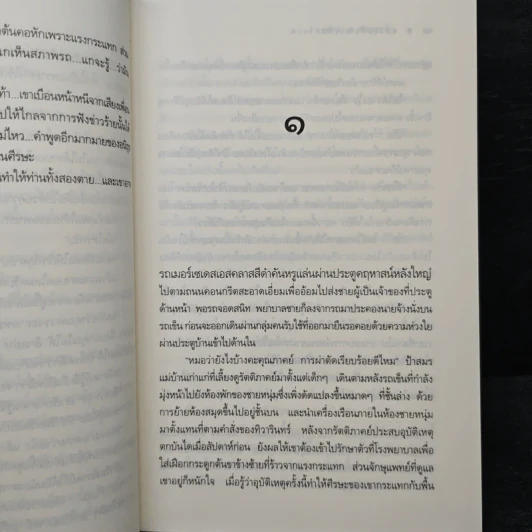 แสงตะวันพระจันทร์แรม - ณารา ซ่อนกลิ่น รูปที่ 8
