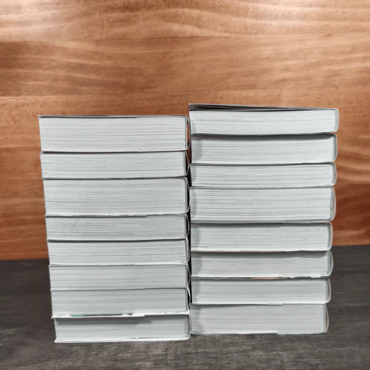 Sword Art Online เล่ม 1-9,15-21 รูปที่ 10