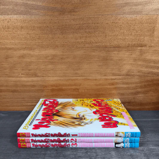 หนุ่มหล่อเฟี้ยวแปลงโฉมสาว เล่ม 1-3 รูปที่ 2
