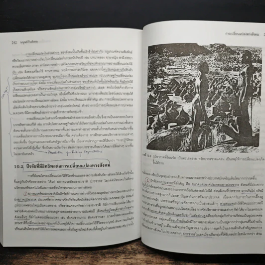 มนุษย์กับสังคม Man and Society รูปที่ 15