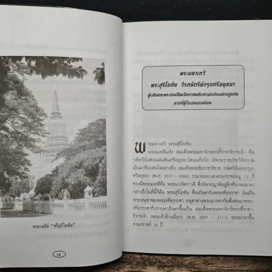 วีรกษัตริย์ แผ่นดินไทย - พิชญพิทักษ์ รูปที่ 11