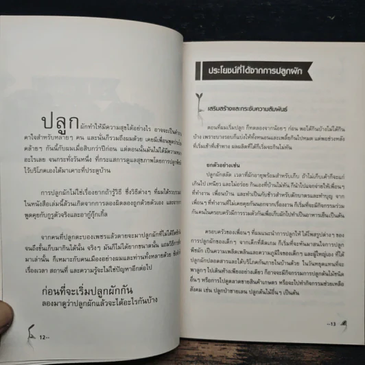 สุุขภาพดีเพราะปลูกผักบนคอนโด - Mr.EasyPlants รูปที่ 9