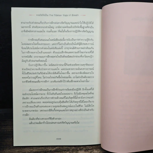 หายใจให้เป็น - Anyen Rinpoche, Allison Choying Zangmo, ธีรา รูปที่ 10
