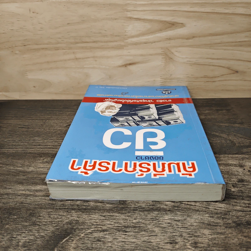 คัมภีร์การค้าของชาวยิว - ไอรีน เป รูปที่ 4