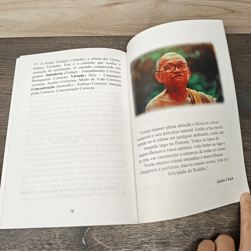 Uma oferta de Dhamma - Ajahn Chah รูปที่ 9