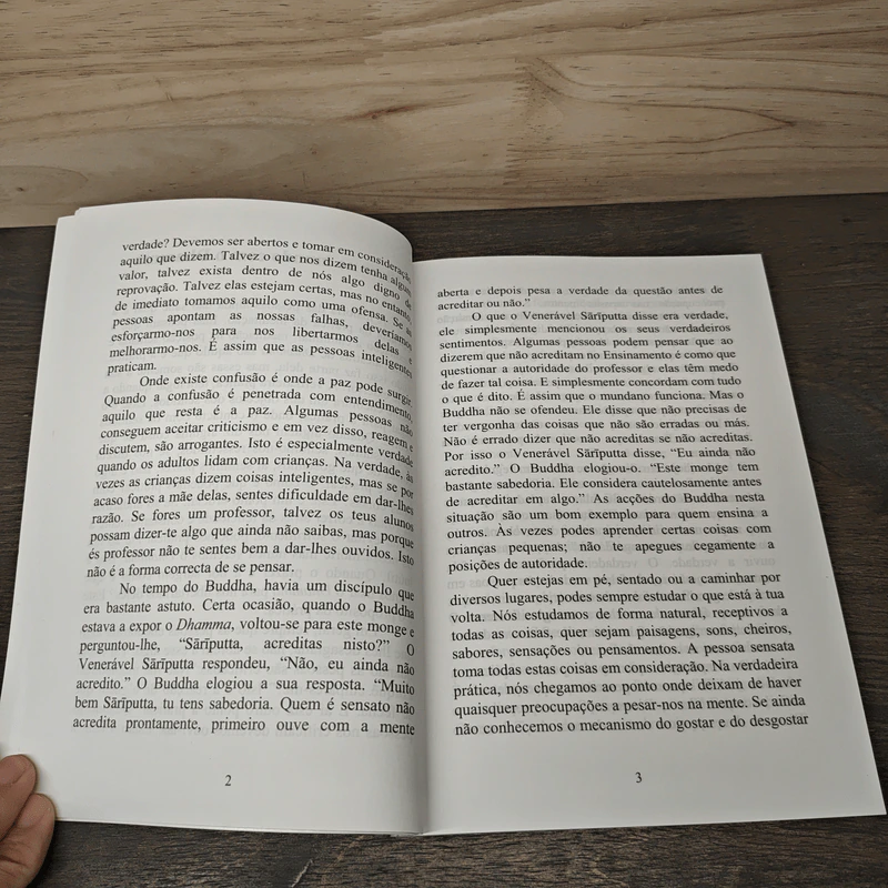 Uma oferta de Dhamma - Ajahn Chah รูปที่ 8