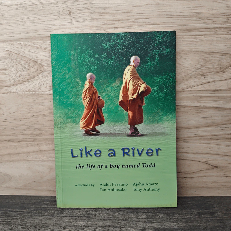 Like a River the life of a boy named todd รูปที่ 1
