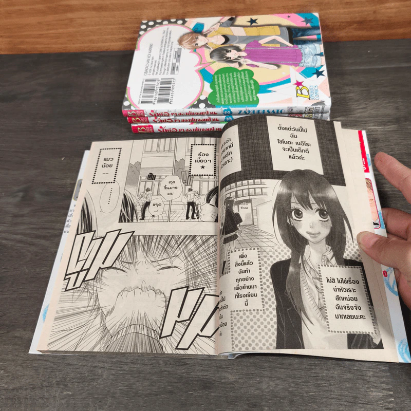 รักบ๊องๆ ของยัยจอมป่วน เล่ม 1-4 - Zakuri Sato รูปที่ 6