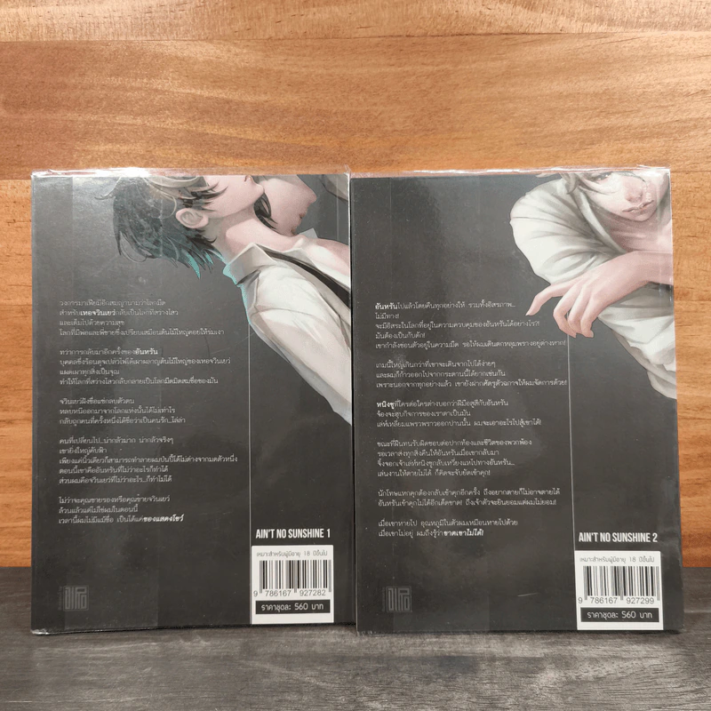 Boxset Ain't No Sunshine ตราบสิ้นแสงตะวัน 2 เล่มจบ - Fengnong, Pipa รูปที่ 9