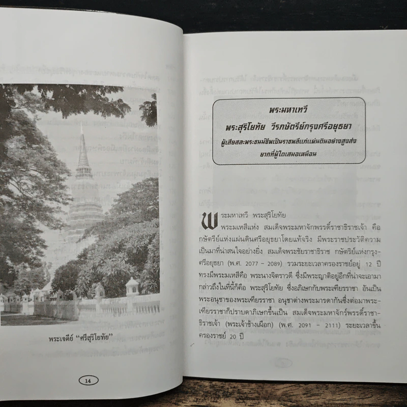 วีรกษัตริย์ แผ่นดินไทย - พิชญพิทักษ์ รูปที่ 11