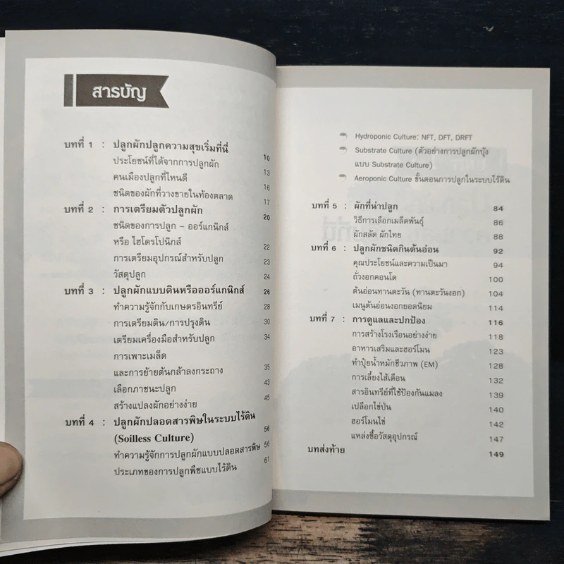 สุุขภาพดีเพราะปลูกผักบนคอนโด - Mr.EasyPlants รูปที่ 7
