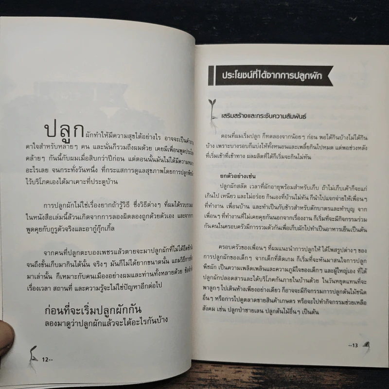 สุุขภาพดีเพราะปลูกผักบนคอนโด - Mr.EasyPlants รูปที่ 9