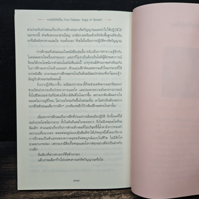 หายใจให้เป็น - Anyen Rinpoche, Allison Choying Zangmo, ธีรา รูปที่ 10