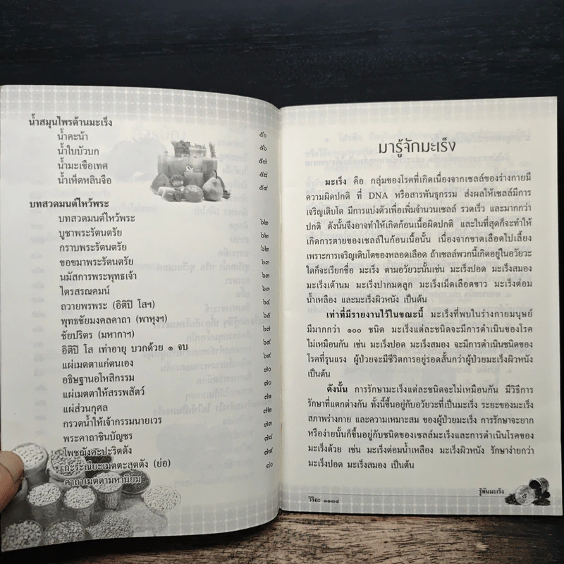 รู้ทันมะเร็ง บำบัดกายด้วยสมุนไพร รักษาใจด้วยการสวดมนต์ สมุนไพรไทยใกล้ตัว ป้องกัน และต้านโรคมะเร็ง รูปที่ 7