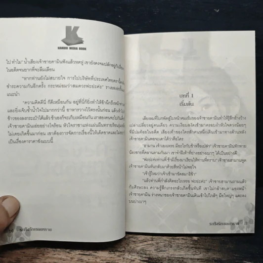 ระเริงรักเชลยทราย - ธีธาฬา รูปที่ 8