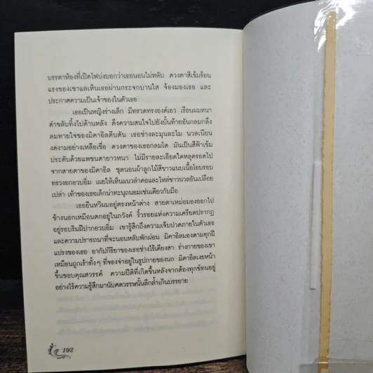 Magic in the Wind มายาในสายลม - คริสติน ฟีแฮน รูปที่ 8