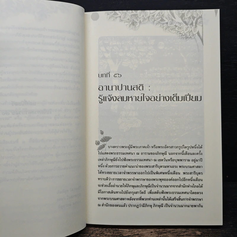 คือเมฆสีขาว ทางก้าวเก่าแก่ เล่ม 3 - ติช นัท ฮันห์ รูปที่ 9