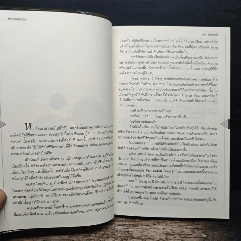 มหากาพย์แอมเวย์ - เปรมชัย จันทรวัฒนน์ รูปที่ 9